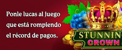 Programa de Referidos promotion